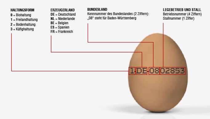 Den Erzeuger-Code entschlüsseln.